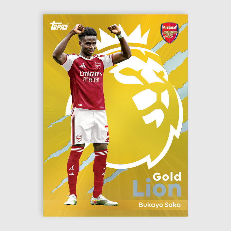 PL TOPPS 25/26 CARD PACKET - multi