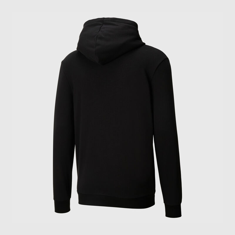 PL CORE HOODIE - black