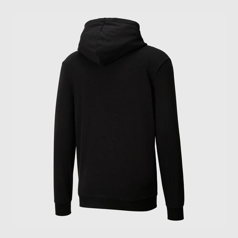 PL CORE HOODIE - black